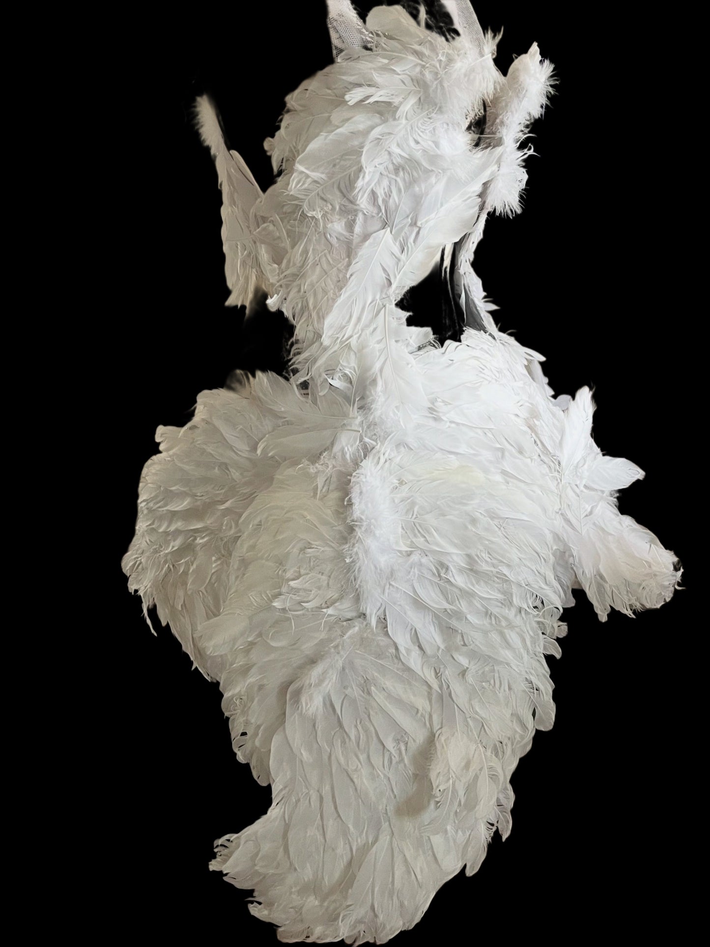 Angel Wing dress